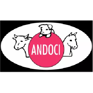 Andoci