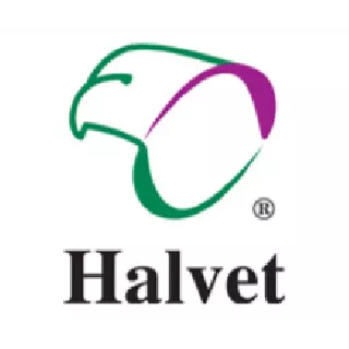 Halvet