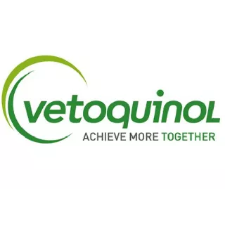 Vetoquinol