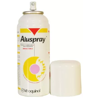 Aluspray Aerosol 210 ml