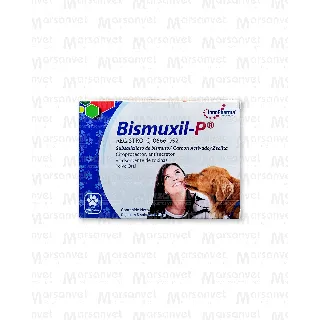 Bismuxil- P Polvo Oral Caja 3 x15 g