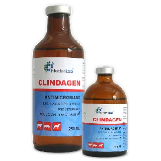 Clindagen 100 ml