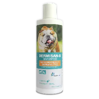 Dermisan-B Shampoo 240 ml (Producto discontinuado)