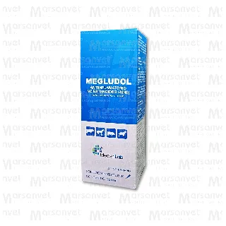 Megludol Iny. 250 ml