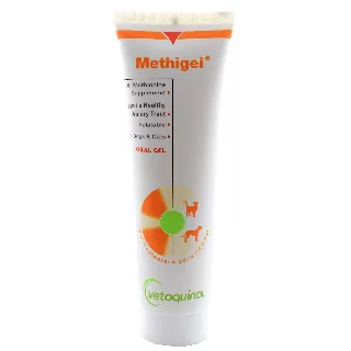 Methigel 120.5 gramos (Producto discontinuado)
