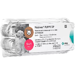 Nobivac Puppy DP Plus + Solvente 1 ds