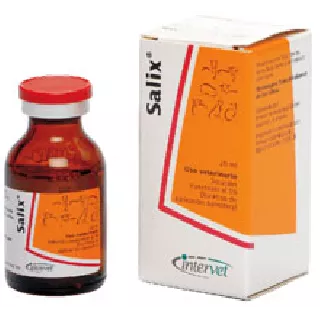 Salix Iny. 10 ml
